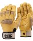 CORDEX PLUS