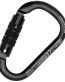HMS Napik Twist Lock