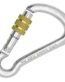 Harness Carbon Screw Sleeve
